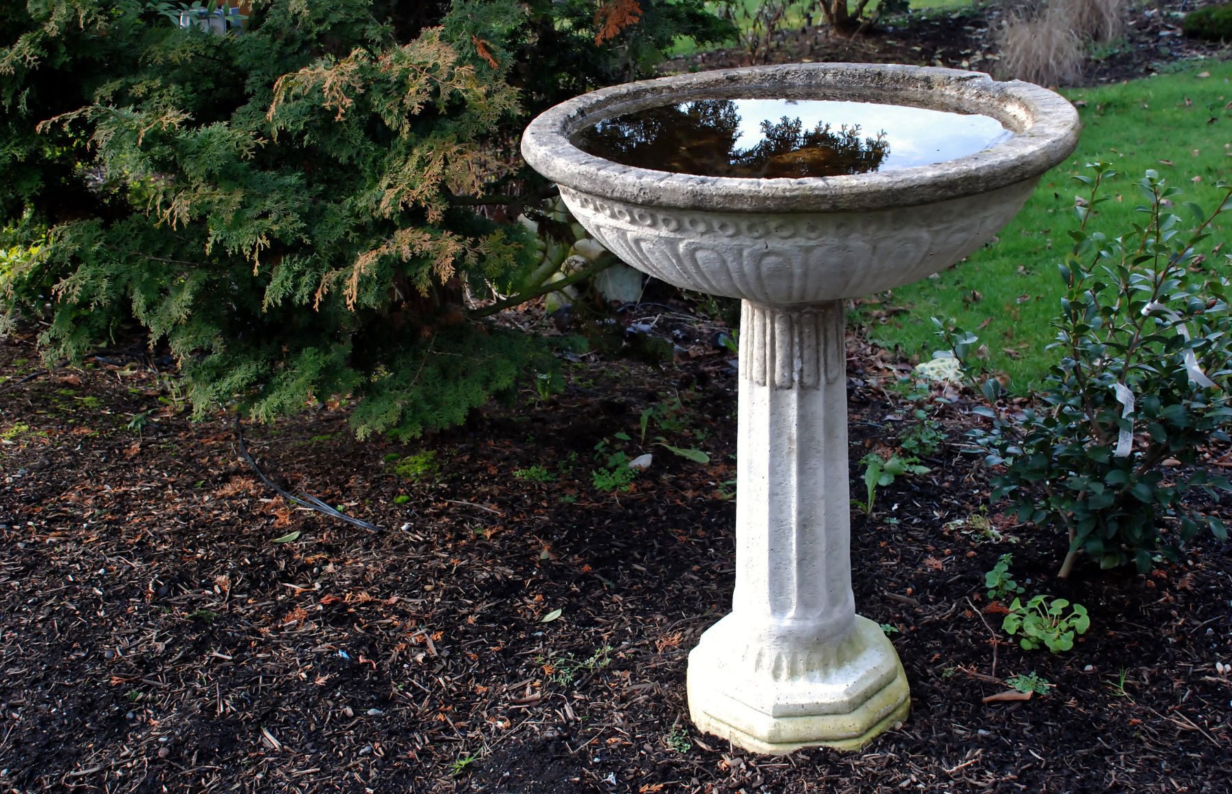 Remove all standing water